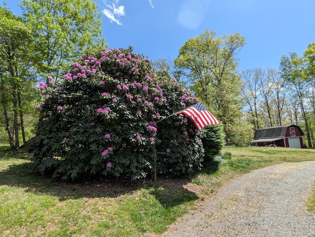 223 Mountain Breezes Drive, Hayesville NC 28904 - Photo