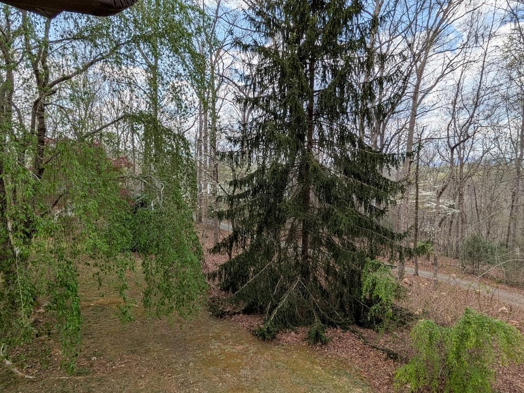 223 Mountain Breezes Drive, Hayesville NC 28904 - Photo