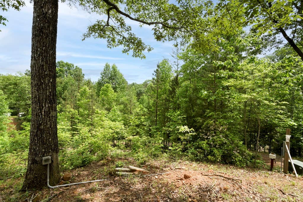 62 Green Cove Spur, Murphy NC 28906 - Photo