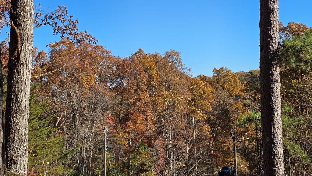 62 Green Cove Spur, Murphy NC 28906 - Photo