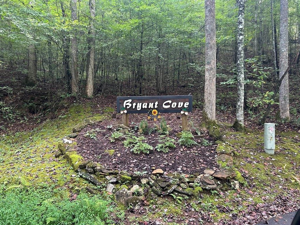 Lt 19 Bitter Creek Road, Blairsville GA 30512 - Photo