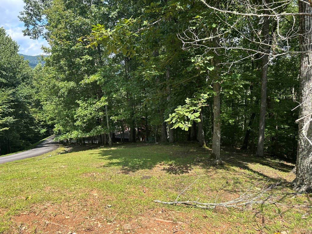 Lt 19 Bitter Creek Road, Blairsville GA 30512 - Photo