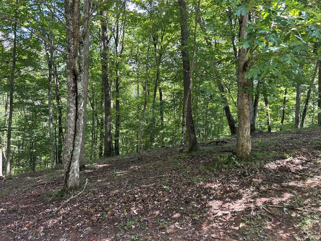 Lt 19 Bitter Creek Road, Blairsville GA 30512 - Photo