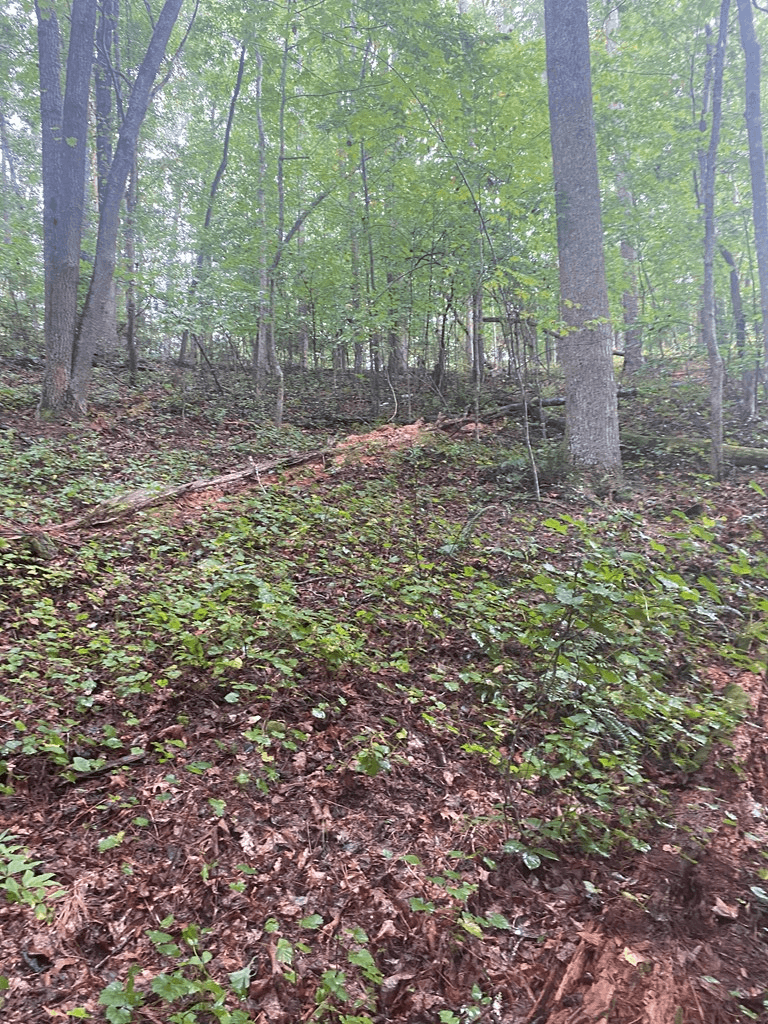 27 Mountain Creek Hollow Drive, Talking Rock GA 30175 - Photo