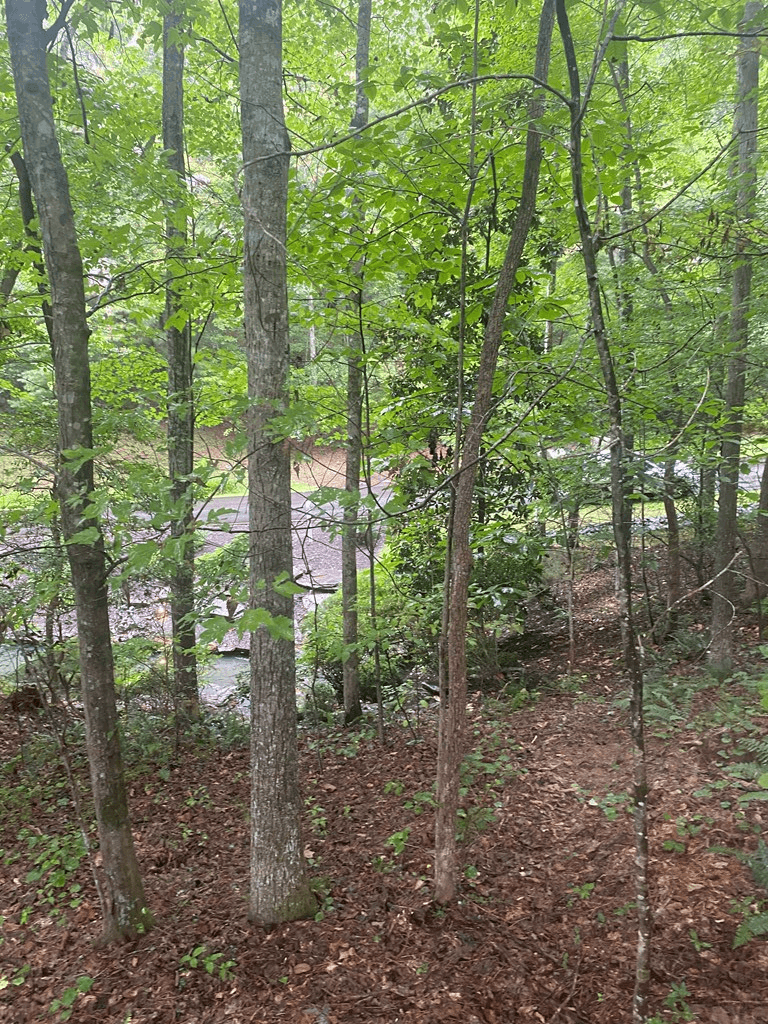 27 Mountain Creek Hollow Drive, Talking Rock GA 30175 - Photo