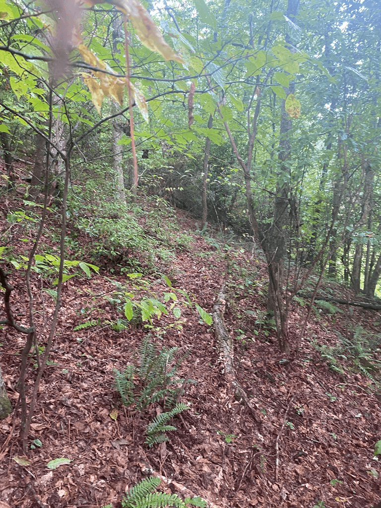 27 Mountain Creek Hollow Drive, Talking Rock GA 30175 - Photo
