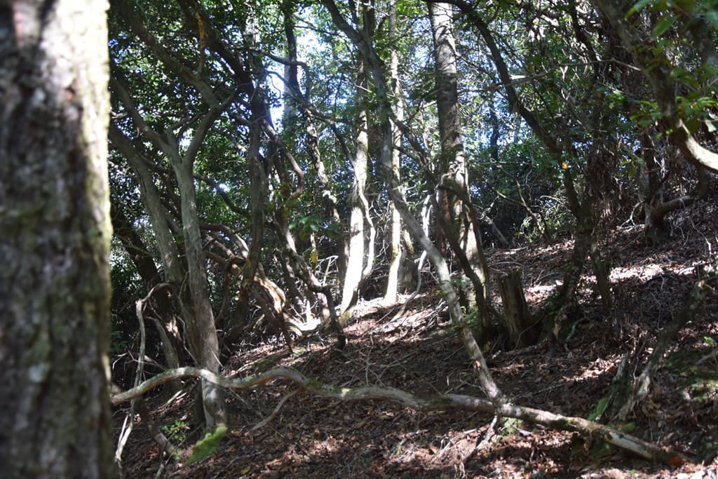 Lot 3 Riverbend Trail, Hayesville MD 20894 - Photo