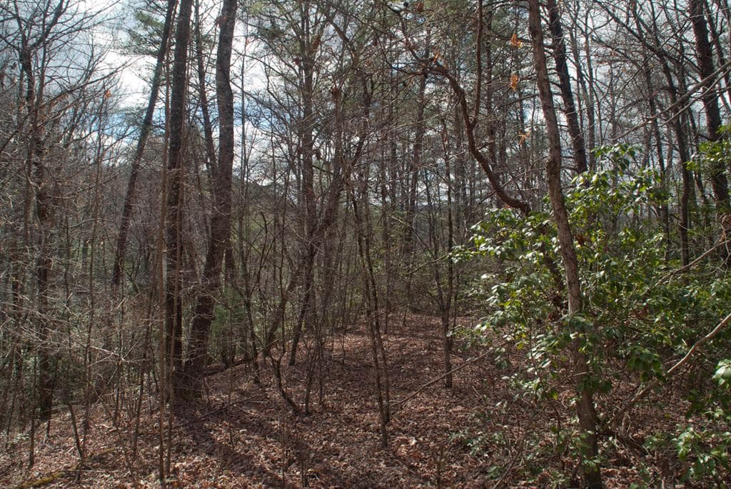 Lot 3 Riverbend Trail, Hayesville MD 20894 - Photo