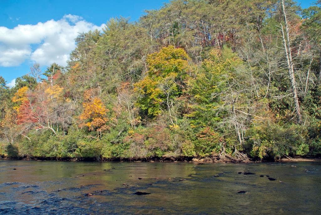 Lot 3 Riverbend Trail, Hayesville MD 20894 - Photo