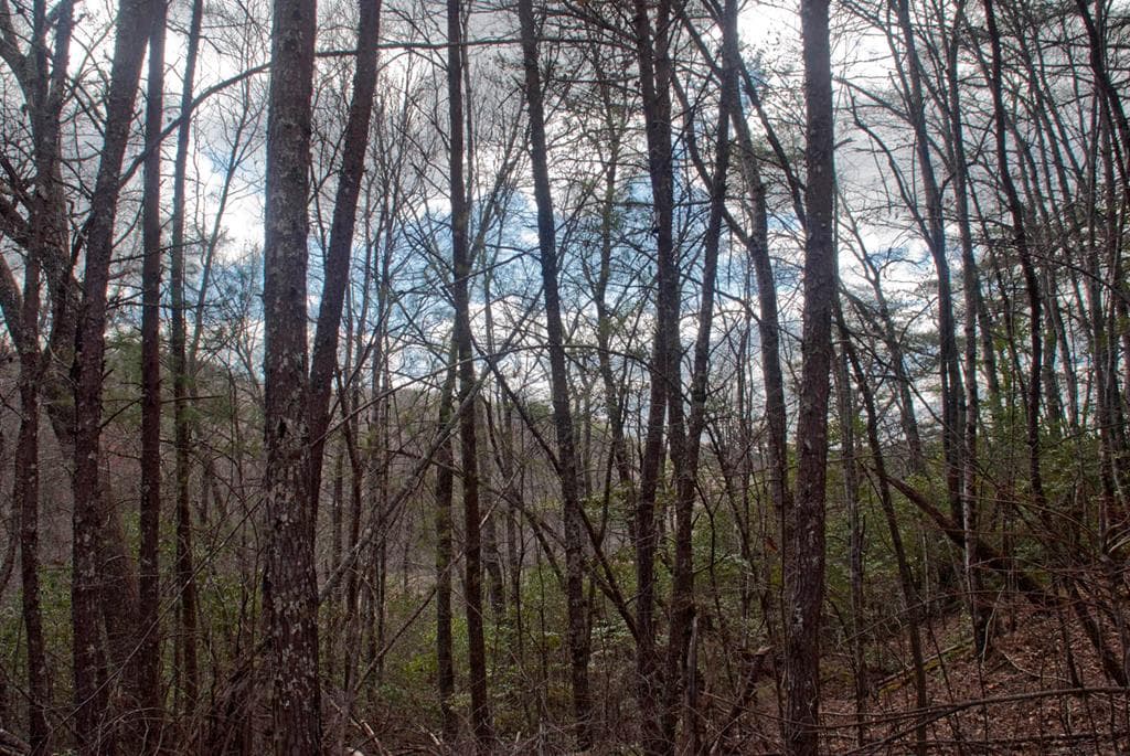 Lot 3 Riverbend Trail, Hayesville MD 20894 - Photo