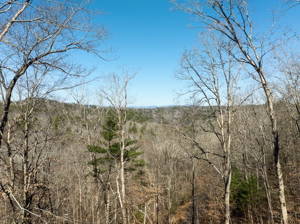 193 Alm Lane, Ellijay GA 30540 - Photo