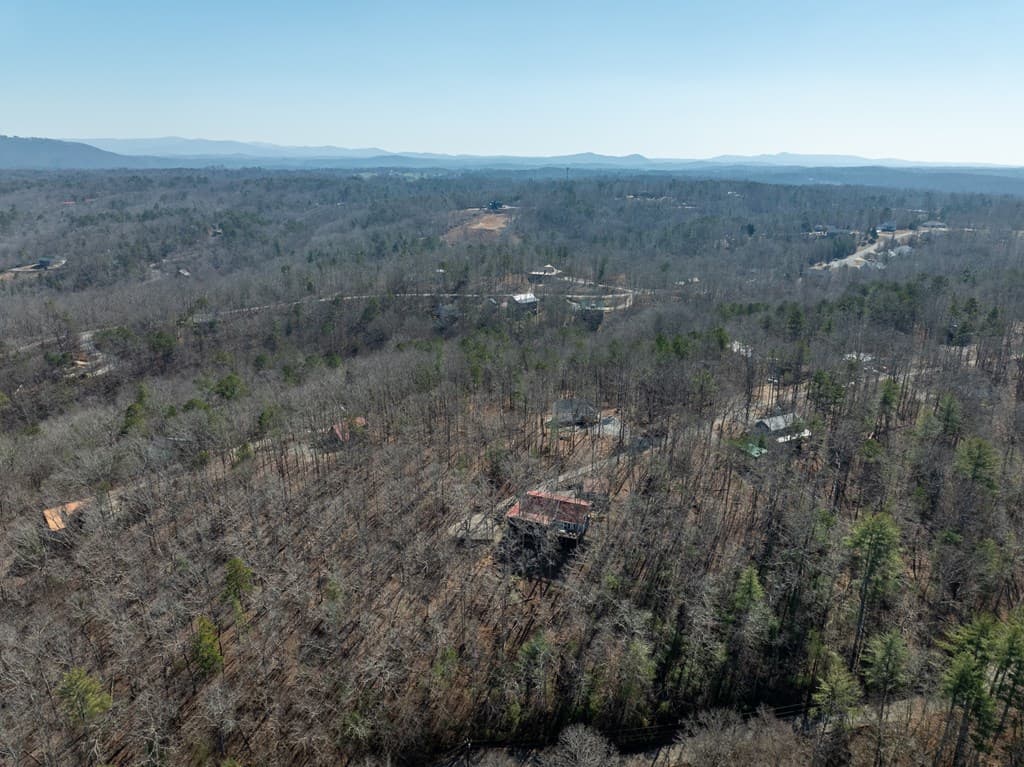 193 Alm Lane, Ellijay GA 30540 - Photo