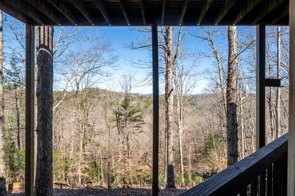 193 Alm Lane, Ellijay GA 30540 - Photo