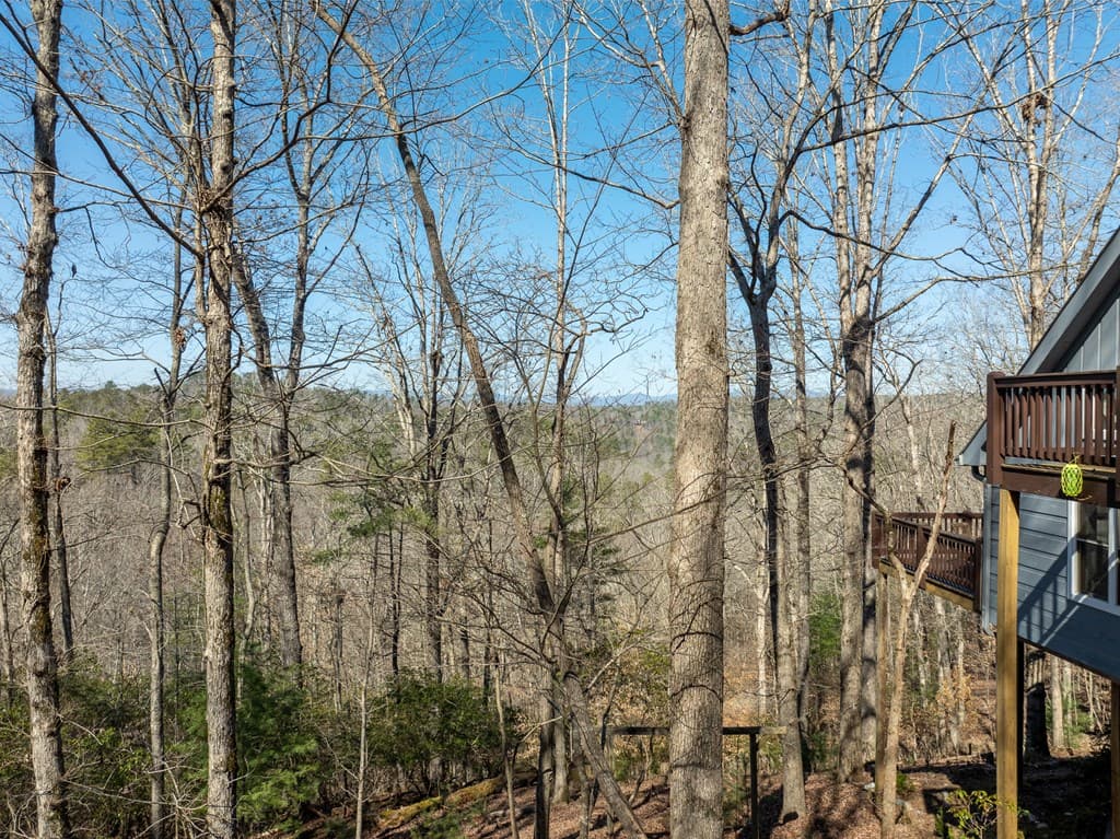 193 Alm Lane, Ellijay GA 30540 - Photo