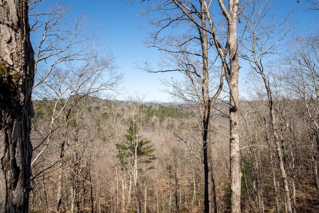 193 Alm Lane, Ellijay GA 30540 - Photo