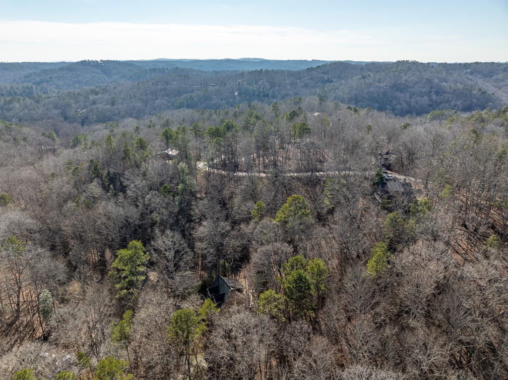 160 Primrose Court, Ellijay GA 30540 - Photo