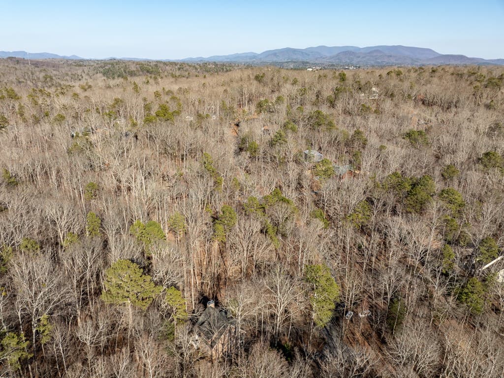 160 Primrose Court, Ellijay GA 30540 - Photo