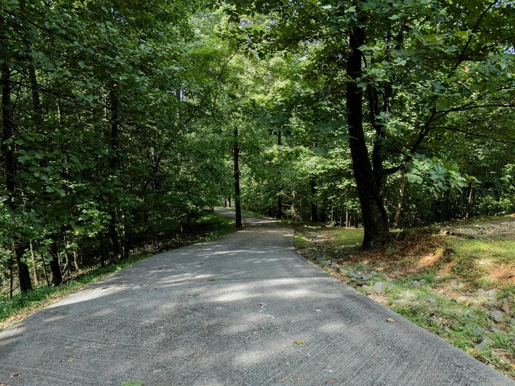 71 S Hidden Valley Drive, Ellijay GA 30536 - Photo
