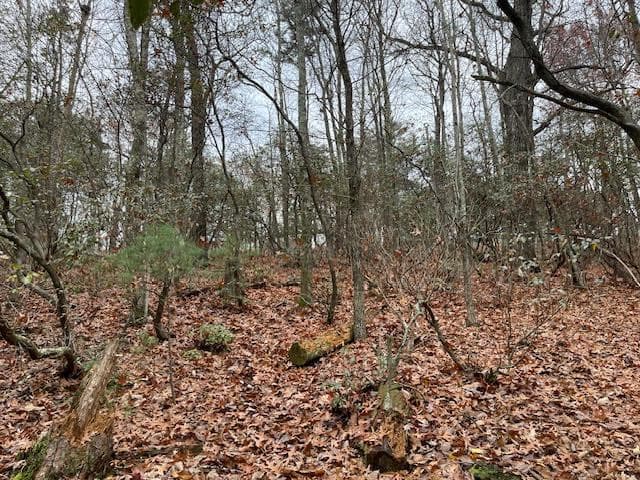 17B Amy Creek Circle, Ellijay GA 30540 - Photo