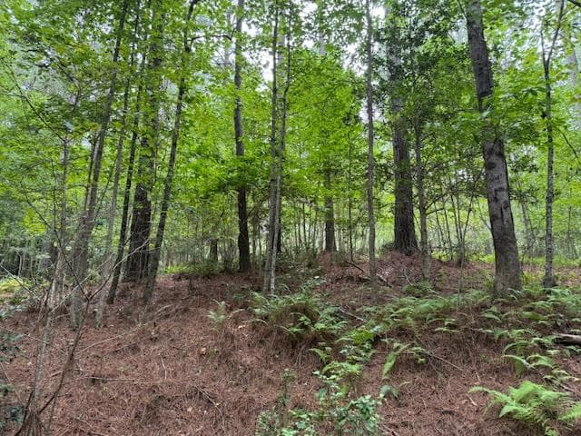 000 Deyton Drive, Blairsville GA 30512 - Photo