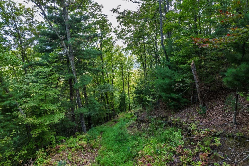 0 Dusty Danno Trail, Mineral Bluff GA 30559 - Photo