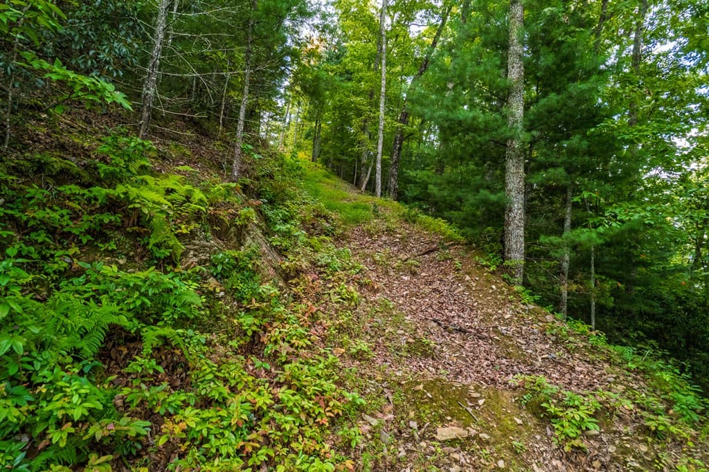 0 Dusty Danno Trail, Mineral Bluff GA 30559 - Photo