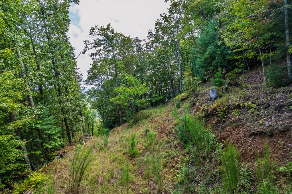0 Dusty Danno Trail, Mineral Bluff GA 30559 - Photo
