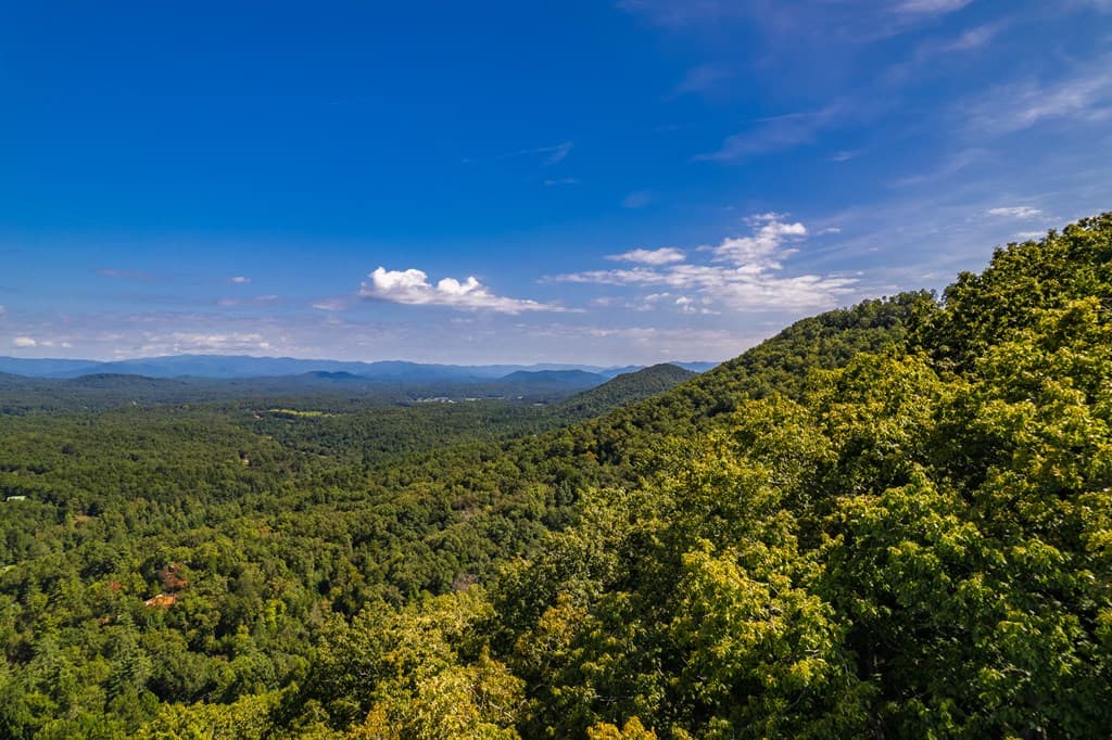 0 Dusty Danno Trail, Mineral Bluff GA 30559 - Photo