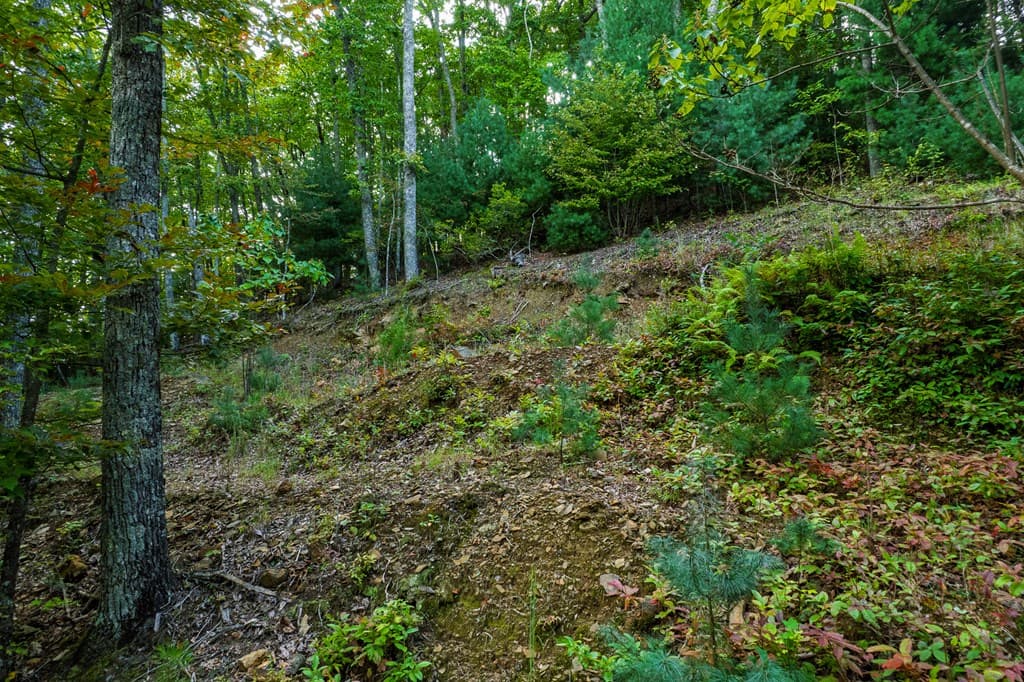 0 Dusty Danno Trail, Mineral Bluff GA 30559 - Photo