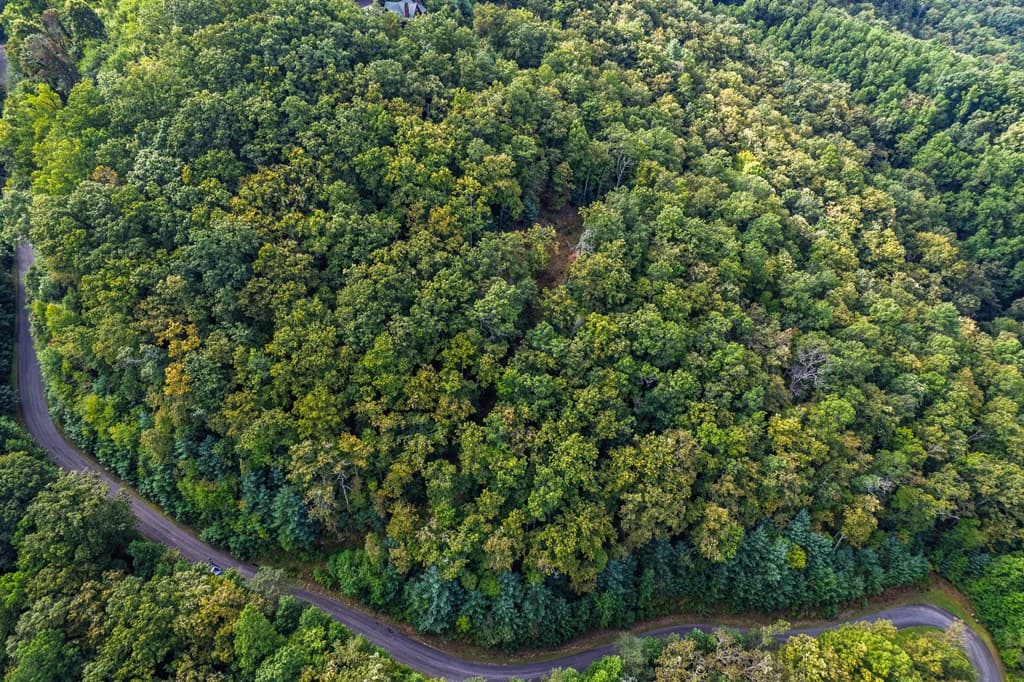 0 Dusty Danno Trail, Mineral Bluff GA 30559 - Photo