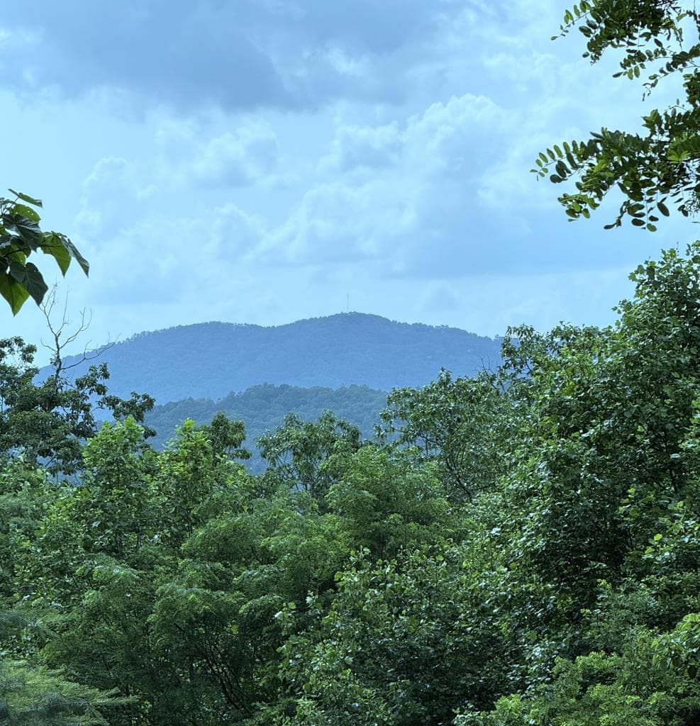 0 Dusty Danno Trail, Mineral Bluff GA 30559 - Photo