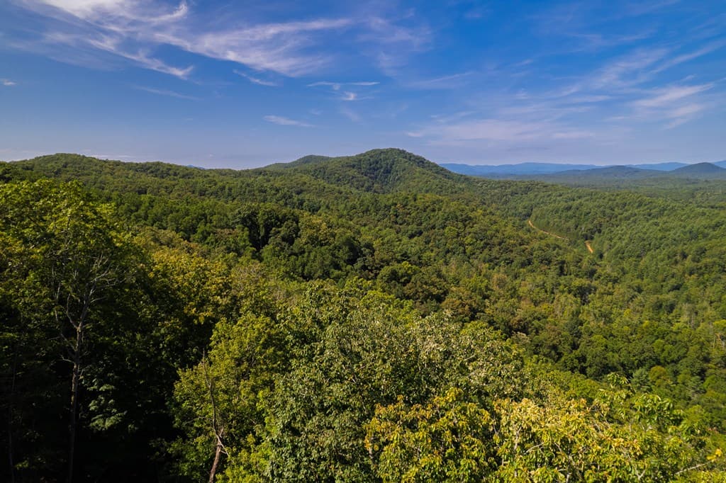 0 Dusty Danno Trail, Mineral Bluff GA 30559 - Photo
