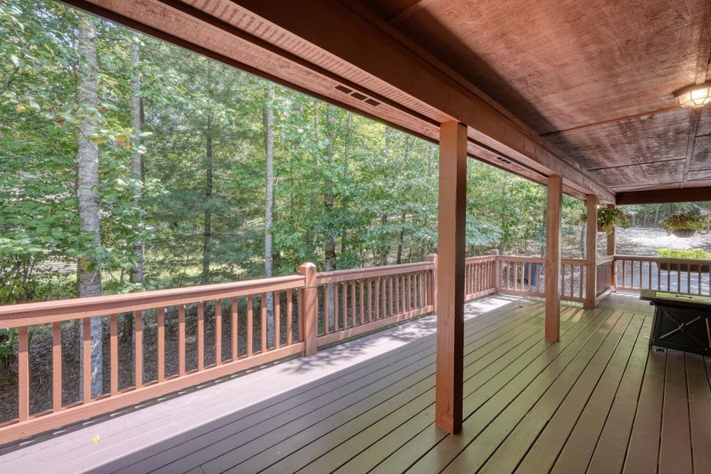 330 Coosa Run, Blairsville GA 30512 - Photo