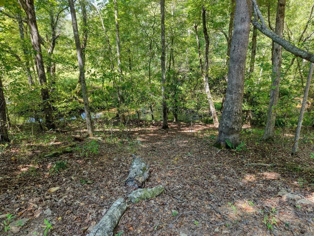 330 Coosa Run, Blairsville GA 30512 - Photo