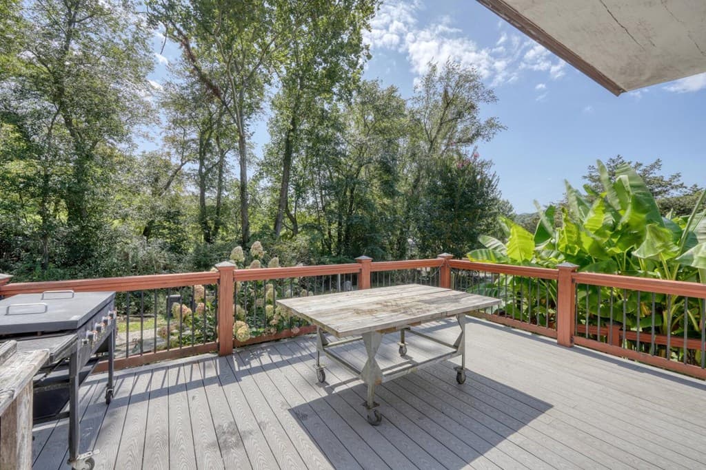 729 Collins Road, Blairsville GA 30512 - Photo