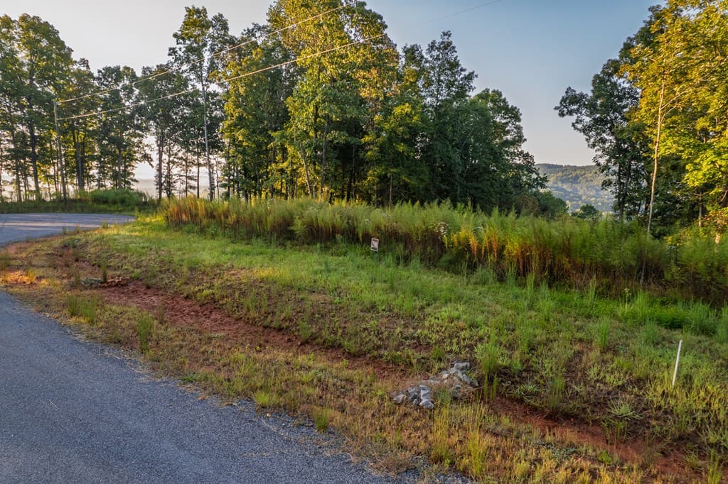 Lot 290 Anglers Ridge Road, Talking Rock GA 30175 - Photo