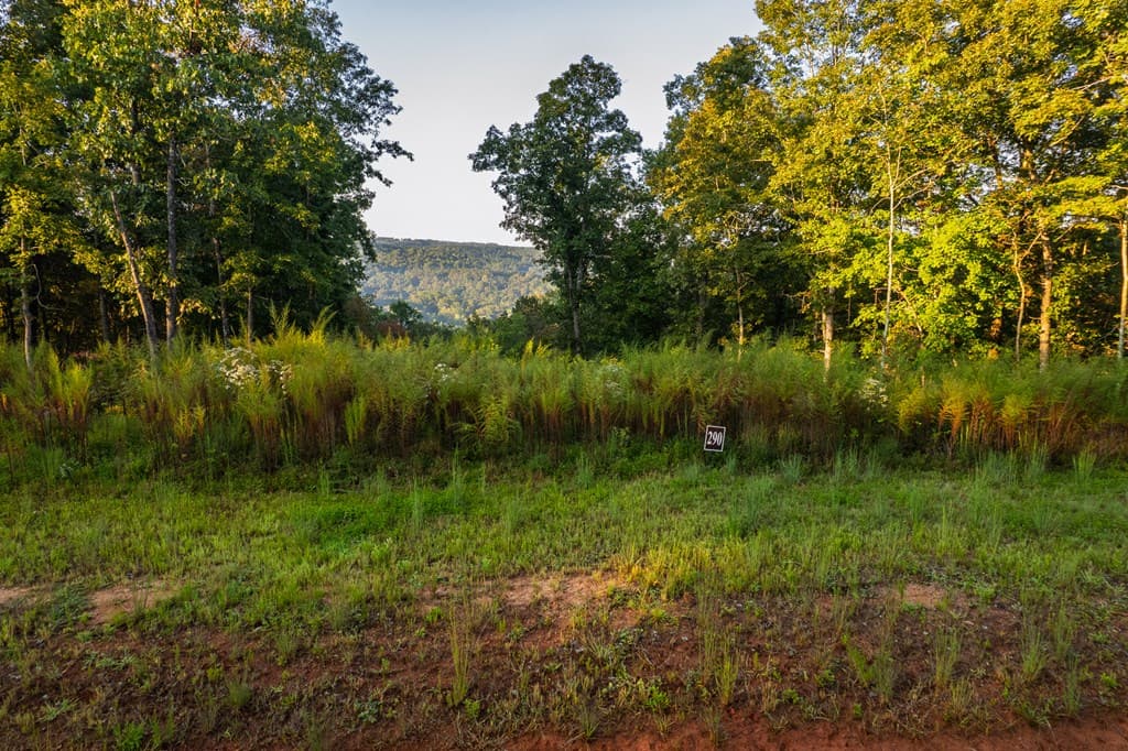 Lot 290 Anglers Ridge Road, Talking Rock GA 30175 - Photo