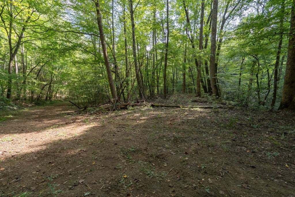 26.98 Ac Tusquittee, Hayesville NC 28904 - Photo