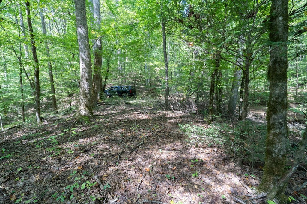 26.98 Ac Tusquittee, Hayesville NC 28904 - Photo