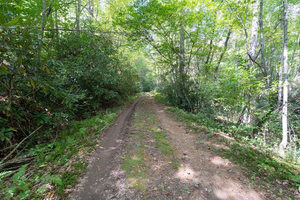 26.98 Ac Tusquittee, Hayesville NC 28904 - Photo