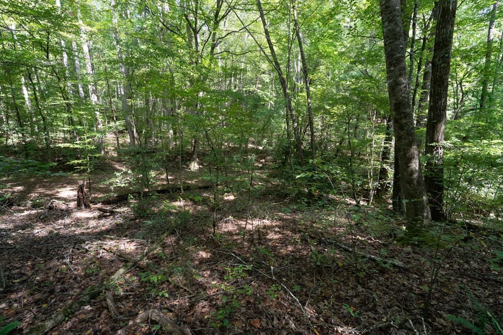 26.98 Ac Tusquittee, Hayesville NC 28904 - Photo
