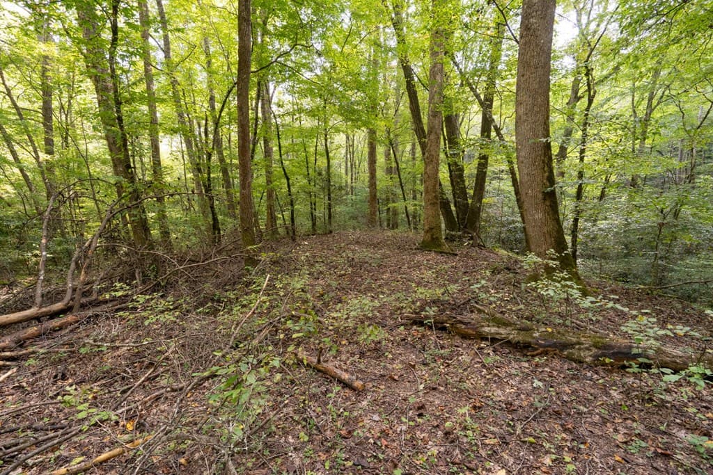 26.98 Ac Tusquittee, Hayesville NC 28904 - Photo