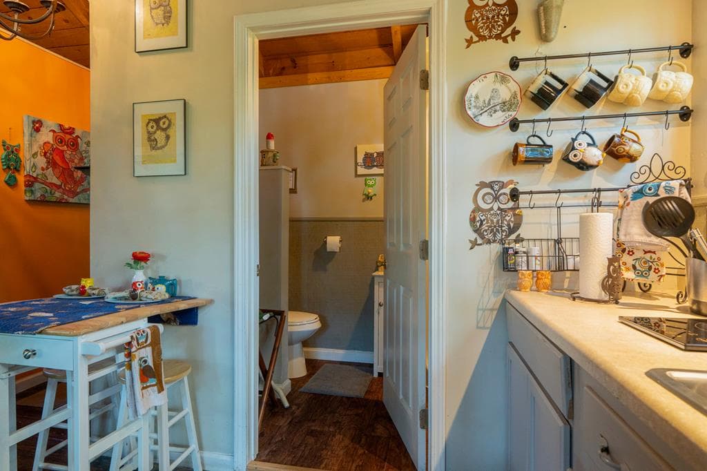 540 Young Cane Creek Road, Blairsville GA 30512 - Photo