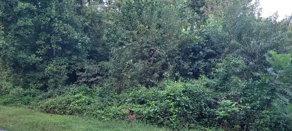 0 Chatuge Village Drive, Hayesville NC 28904 - Photo