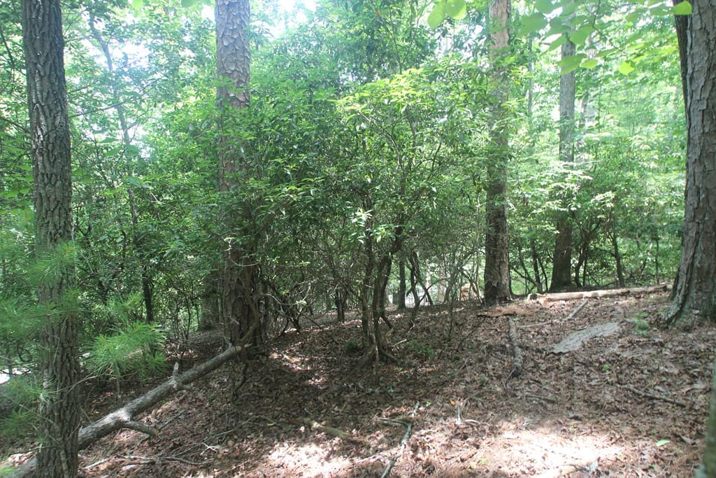 Lt 2628 Garnet Drive, Ellijay GA 30540 - Photo