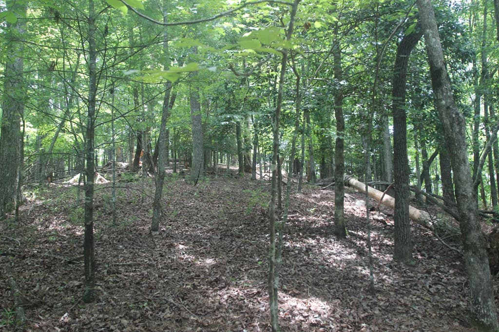 Lt 2628 Garnet Drive, Ellijay GA 30540 - Photo