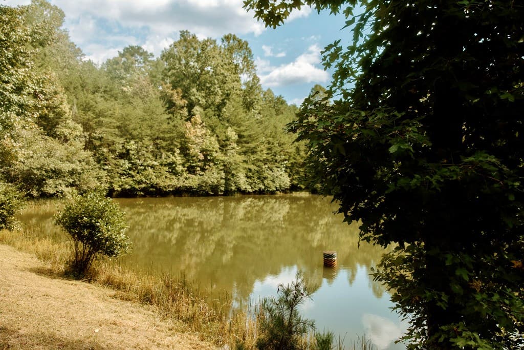 837 River Forest Run, Cleveland GA 30528 - Photo