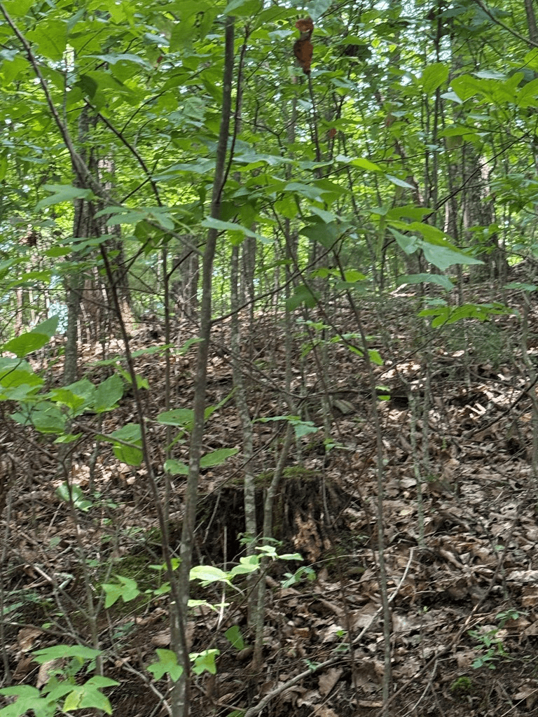 TRACT 4 Morgan Ridge Drive, Young Harris GA 30582 - Photo
