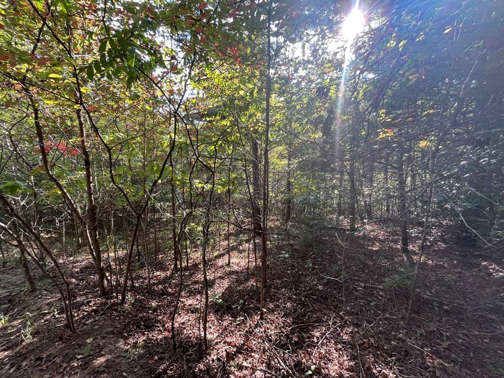 TBD Posey Place, Murphy NC 28906 - Photo
