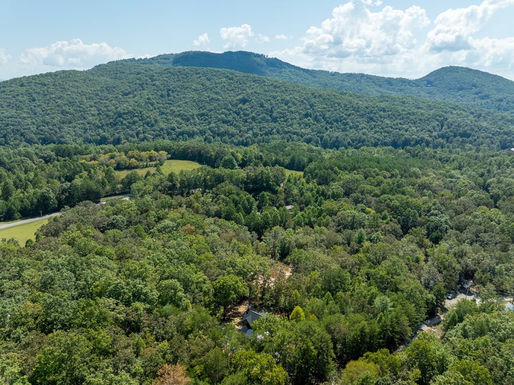 108 Wildflower Drive, Mineral Bluff GA 30559 - Photo